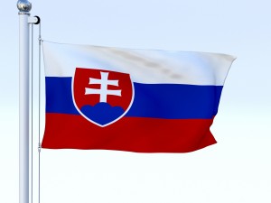 animated slovakia flag 3Dモデル