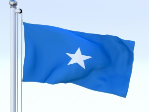 animated somalia flag 3D Model