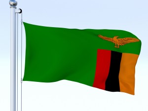 animated zambia flag 3D Модель