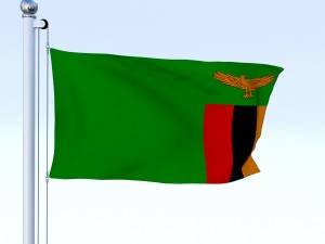 animated zambia flag 3D Модель