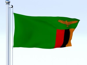 animated zambia flag 3D Модель