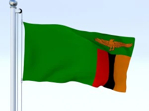 animated zambia flag 3D Model