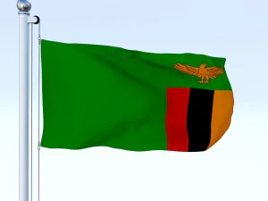 animated zambia flag 3D Model