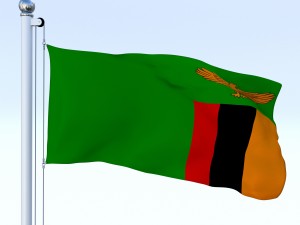 animated zambia flag 3D Модель