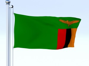 animated zambia flag 3D Модель