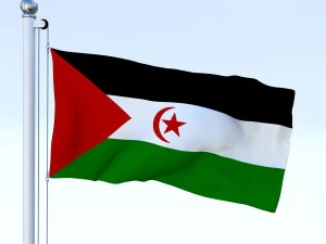 bandeira animada do Saara Ocidental Modelo 3D