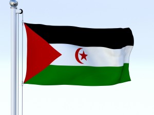 animated western sahara flag Modelo 3D