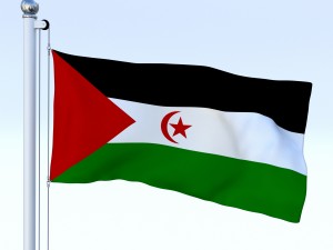 animated western sahara flag Modelo 3D