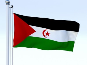 animated western sahara flag Modelo 3D
