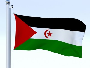 animated western sahara flag Modelo 3D