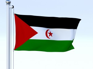animated western sahara flag Modelo 3D