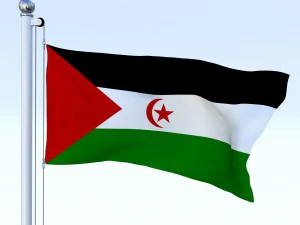 animated western sahara flag 3D Model