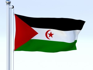 animated western sahara flag Modelo 3D