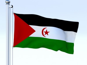 animated western sahara flag Modelo 3D