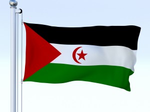 animated western sahara flag Modelo 3D