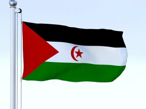 animated western sahara flag 3D Model