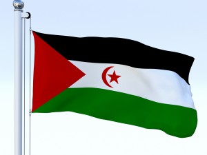 animated western sahara flag Modelo 3D
