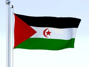 animated western sahara flag 3D Model