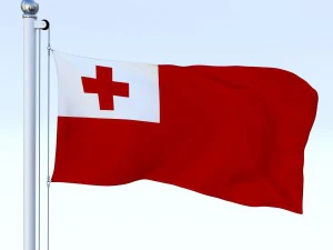 animated tonga flag 3D Model