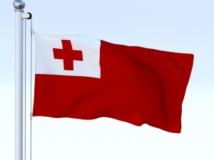 animated tonga flag 3D Модель