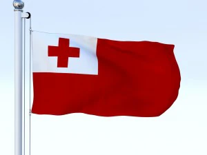 animated tonga flag 3D Model