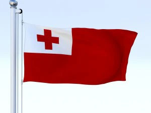 animated tonga flag 3D Model