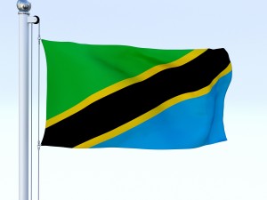 animated tanzania flag 3D Model