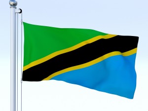animated tanzania flag 3D Model