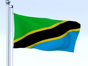 animated tanzania flag 3D Model