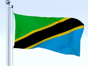 animated tanzania flag 3D Model