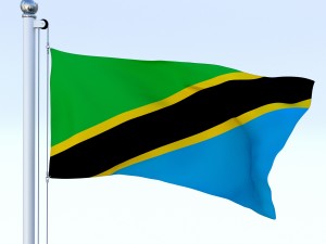 animated tanzania flag 3D Model