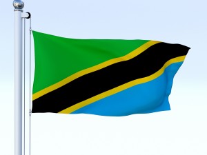 animated tanzania flag 3D Model