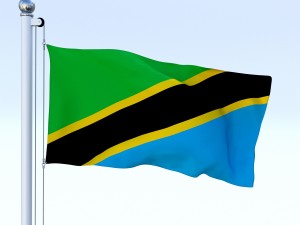 animated tanzania flag 3D Model