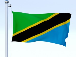 animated tanzania flag 3D Model