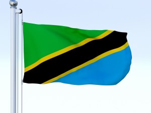 animated tanzania flag 3D Model