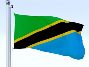 animated tanzania flag 3D Model