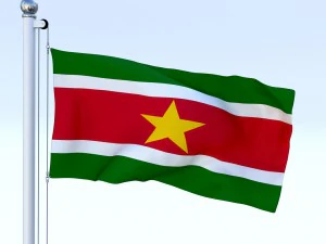 анимированный флаг Суринама 3D Модель