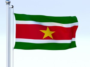animated suriname flag 3D Model