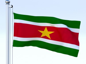 animated suriname flag 3D Model