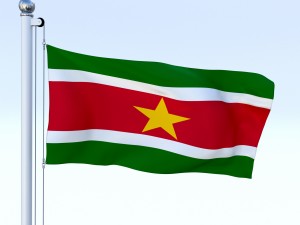 animated suriname flag 3D Model