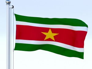 animated suriname flag 3D Model