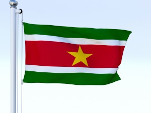 animated suriname flag 3D Model
