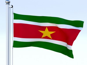 animated suriname flag 3D Model