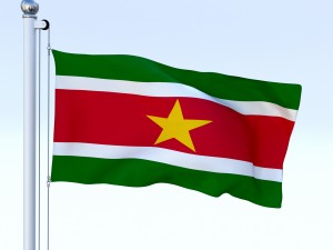 animated suriname flag 3D Model