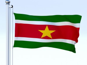 animated suriname flag 3D Model