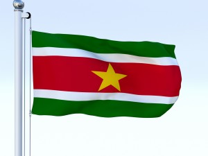 animated suriname flag 3D Model