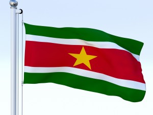 animated suriname flag 3D Model