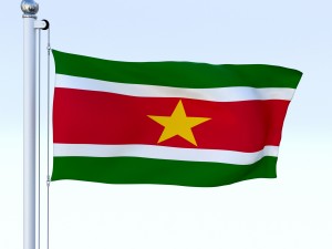 animated suriname flag 3D Model