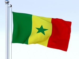 animated senegal flag 3D Model