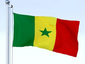 animated senegal flag 3D Model